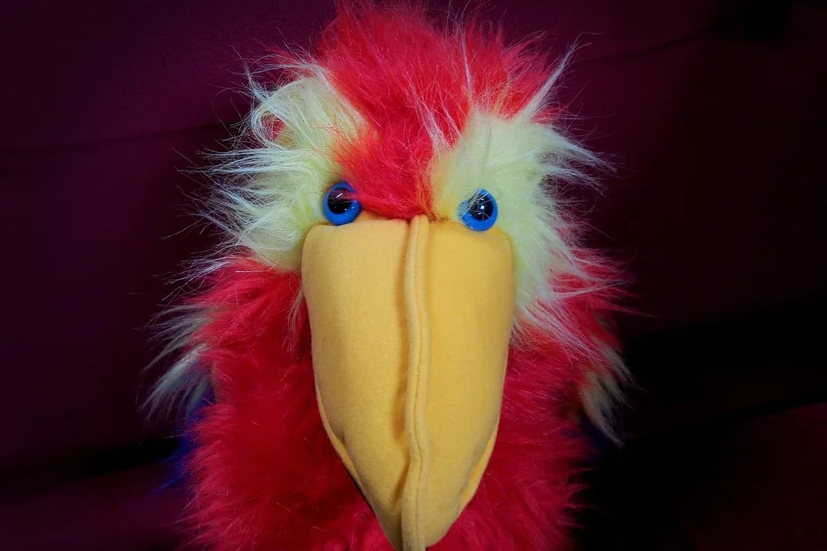 A Pet Parrot playing with a toy